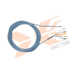 PT - 100 Duplex Type - 4mm X 12mm
